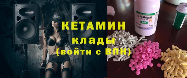 индика Алексин