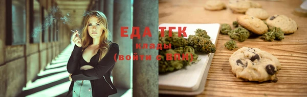 индика Алексин