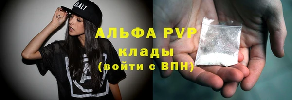 индика Алексин
