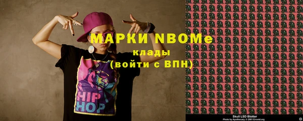 индика Алексин