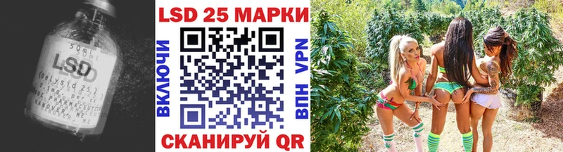 LSD-25 экстази ecstasy  ОМГ ОМГ как войти  Новороссийск 