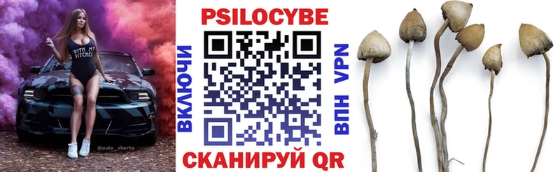 Галлюциногенные грибы GOLDEN TEACHER  Новороссийск 